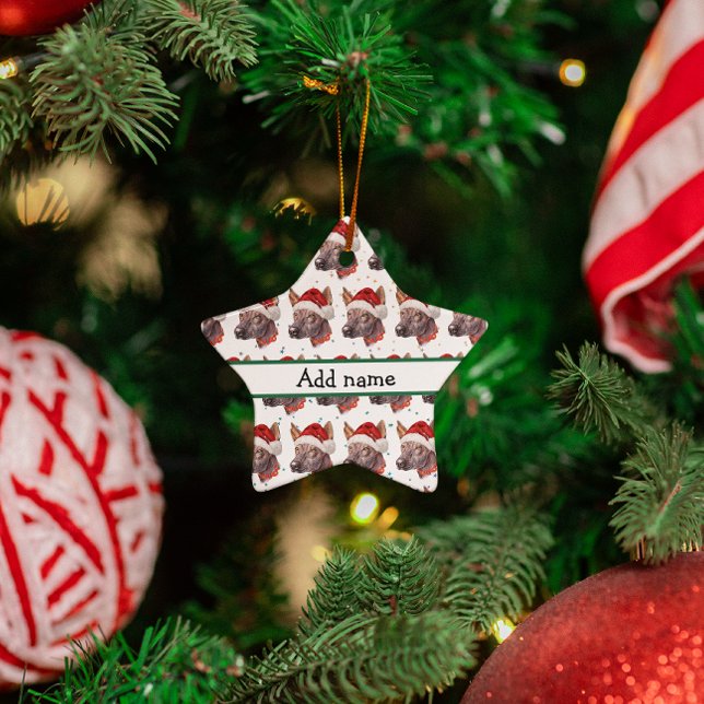 Mexikansk nakenhund julstjärnor julgransprydnad keramik (Skapare uppladdad)