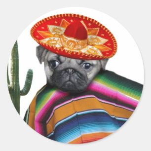 Mexikansk pug hund runt klistermärke