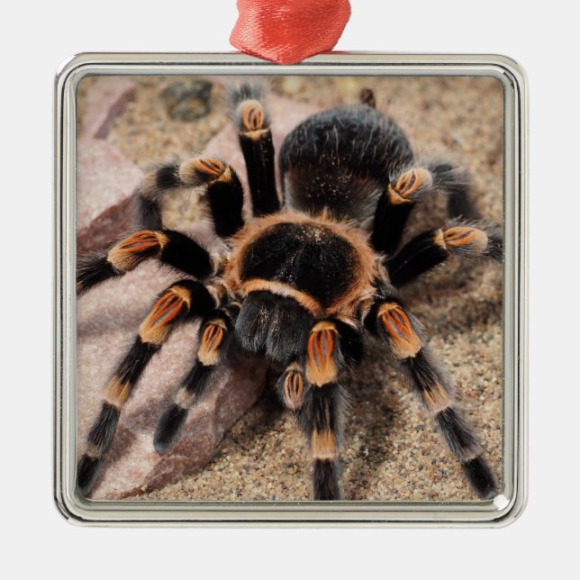 Mexikansk röd knöla Tarantula Spider Julgransprydnad Metall (Framsidan)