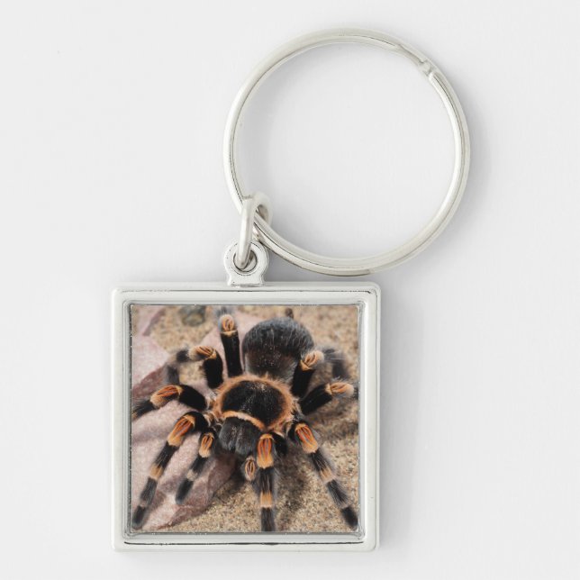 Mexikansk röd knut Tarantula Spider Fyrkantig Silverfärgad Nyckelring (Framsidan)