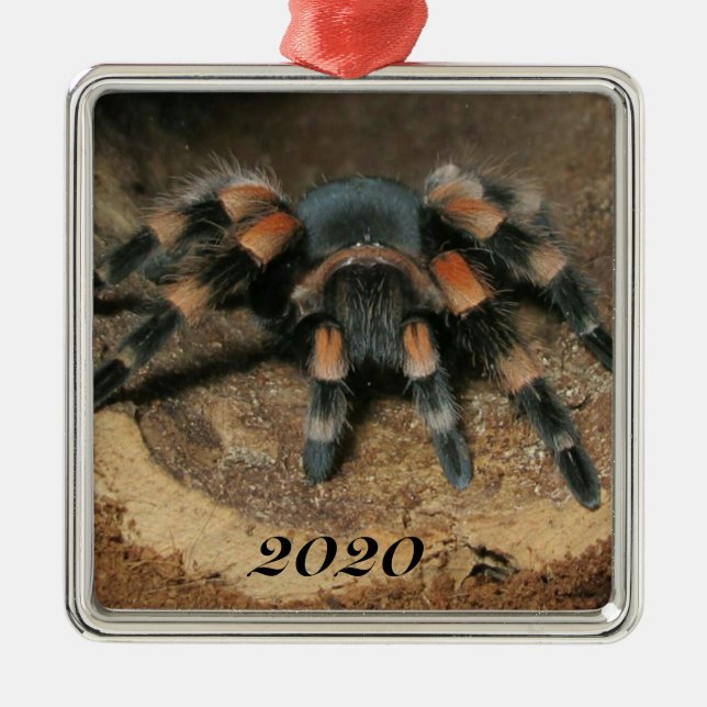 Mexikansk röd knut Tarantula Spider Julgransprydnad Metall (Framsidan)