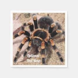 Mexikansk röd knut Tarantula Spider Pappersservett