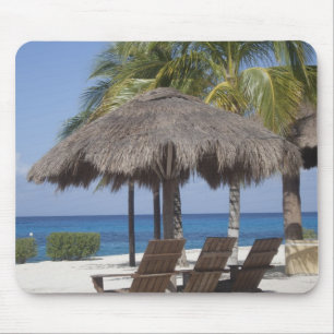 Mexikanska Beach Paradise Musmatta