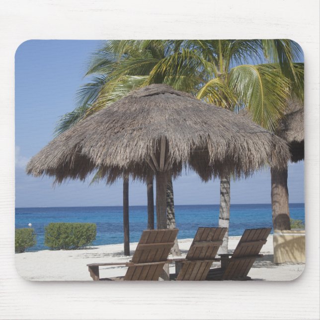 Mexikanska Beach Paradise Musmatta (Framsidan)