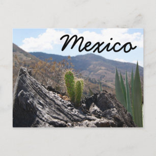 Mexikanska bergen Cactus Desert liggande Vykort