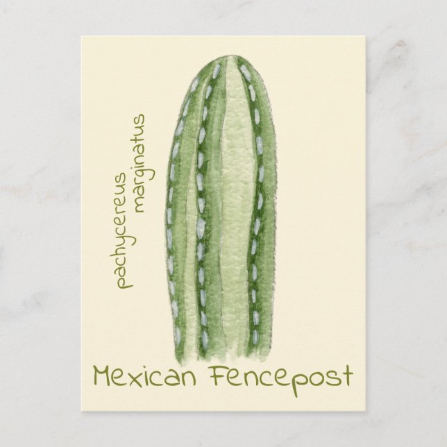 Mexikanska Fencepost cactus vycard Vykort (Framsida)