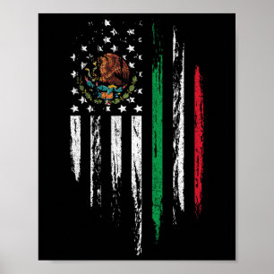 Mexikanska Flagga Combo Mexico Usa Cinco De Morsa Poster