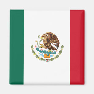 Mexikanska Flagga Magnet