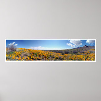 Mexikanska Golden Poppies - Franklin Mountains Poster