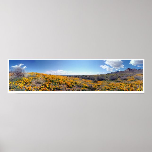 Mexikanska Golden Poppies - Franklin Mountains Poster (Framsidan)
