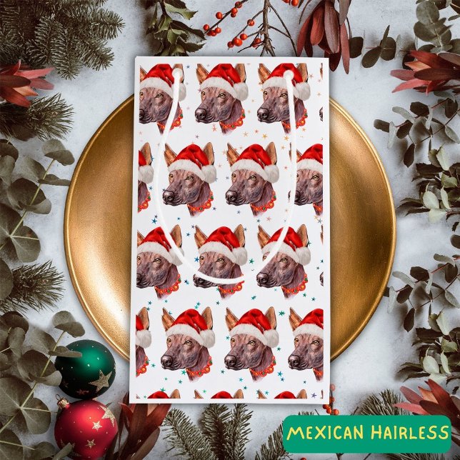 Mexikanska Hairless Hund aveln-julstjärnor (Skapare uppladdad)