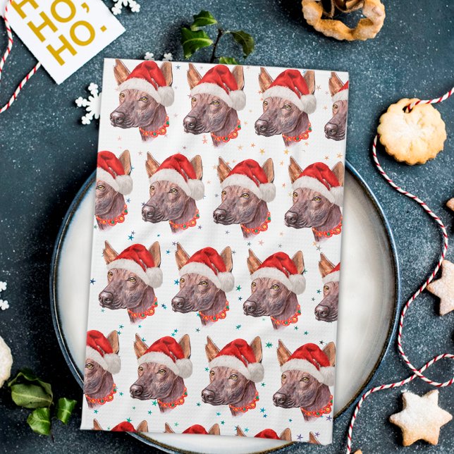 Mexikanska Hairless Hund aveln-julstjärnor Kökshandduk (Skapare uppladdad)