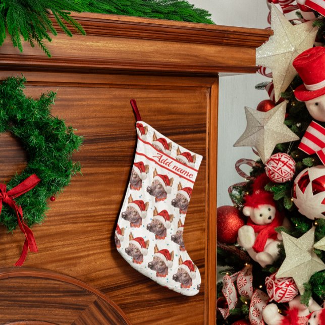 Mexikanska Hairless Hund aveln-julstjärnor Liten Julstrumpa (Skapare uppladdad)