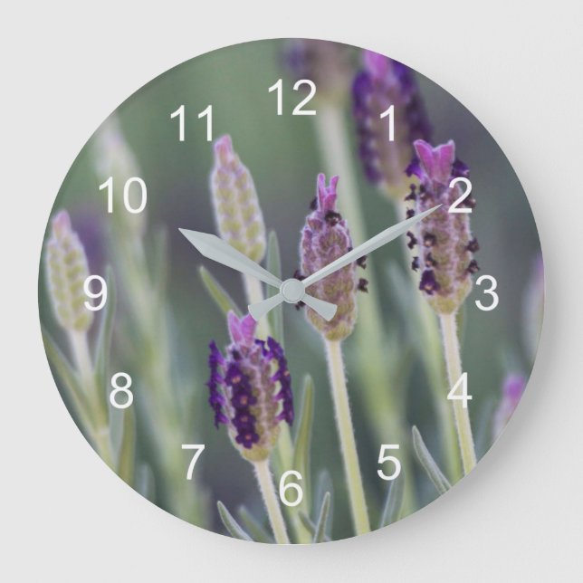 Mexikanska lavender stor klocka (Framsida)
