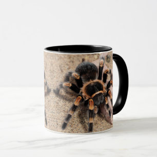 Mexikanska rödknä Tarantula Mugg