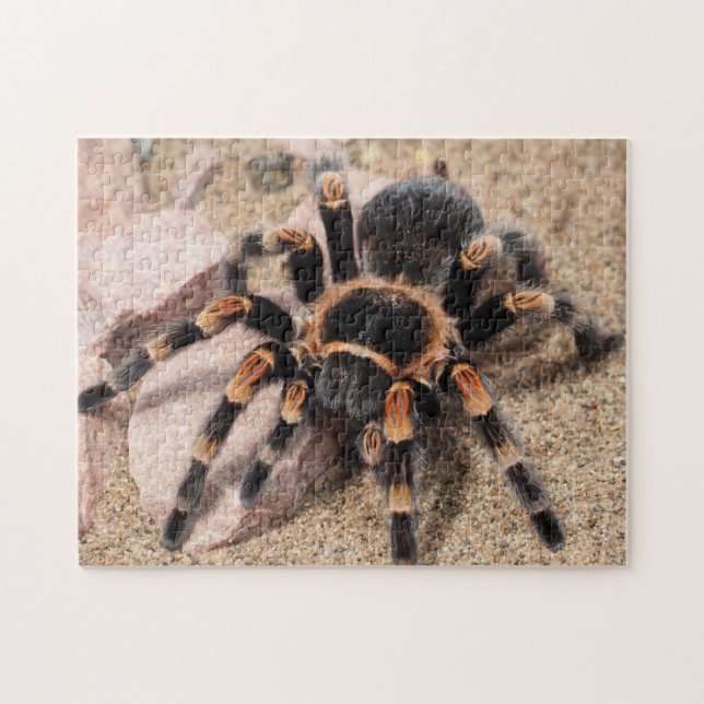 Mexikanska rödknä Tarantula Spider Pussel (Horisontell)