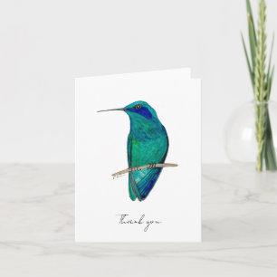 Mexikanska Violetear Hummingbird Tack Kort