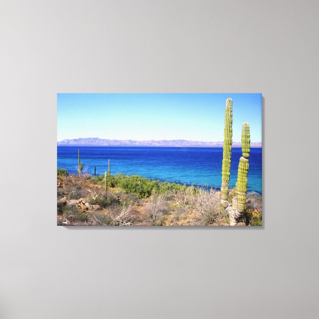 Mexiko, Baja California Sur, Mulege, Bahia 2 Canvastryck (Framsida)
