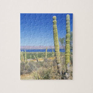 Mexiko, Baja California Sur, Mulege, Bahia Pussel