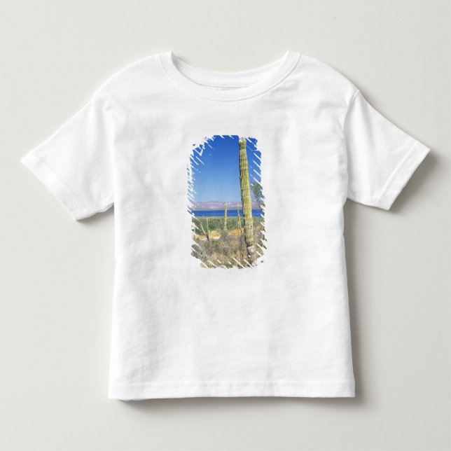 Mexiko, Baja California Sur, Mulege, Bahia Tee (Framsida)