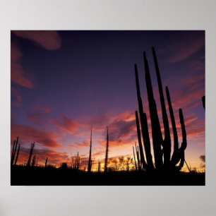 Mexiko, Baja del Norte, Catavina Desert National 3 Poster