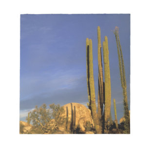 Mexiko, Baja del Norte, Catavina Desert National Anteckningsblock