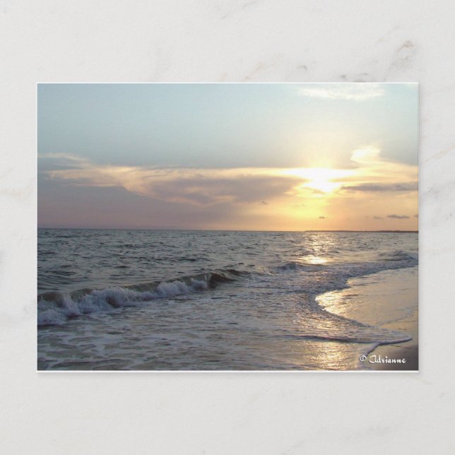 Mexiko Beach, Florida Vykort (Framsida)