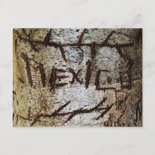 ’Mexiko’ Carved Träd Graffiti Vykort