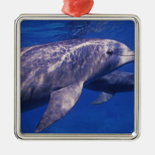 Mexiko, Cozumel. Flasknosdelfin, Tursiops 2 Julgransprydnad Metall