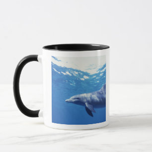 Mexiko, Cozumel. Öresvinshaj, Tursiops 3 Mugg