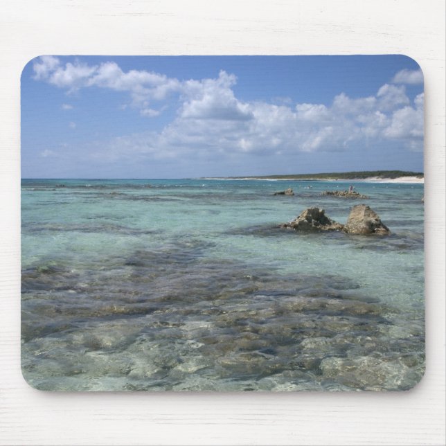 Mexiko, Cozumel, Punta Morena, den östra kusten 2 Musmatta (Framsidan)