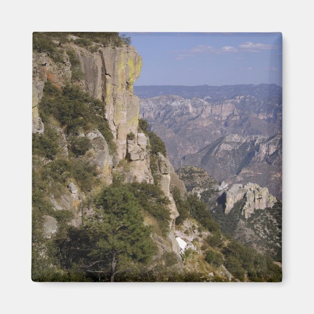 Mexiko, delstaten Chihuahua, koppar Canyon. 2 Magnet (Framsidan)