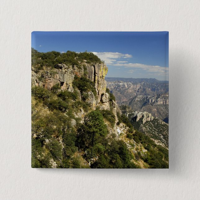 Mexiko, delstaten Chihuahua, koppar Canyon. DETTA Knapp (Framsida)