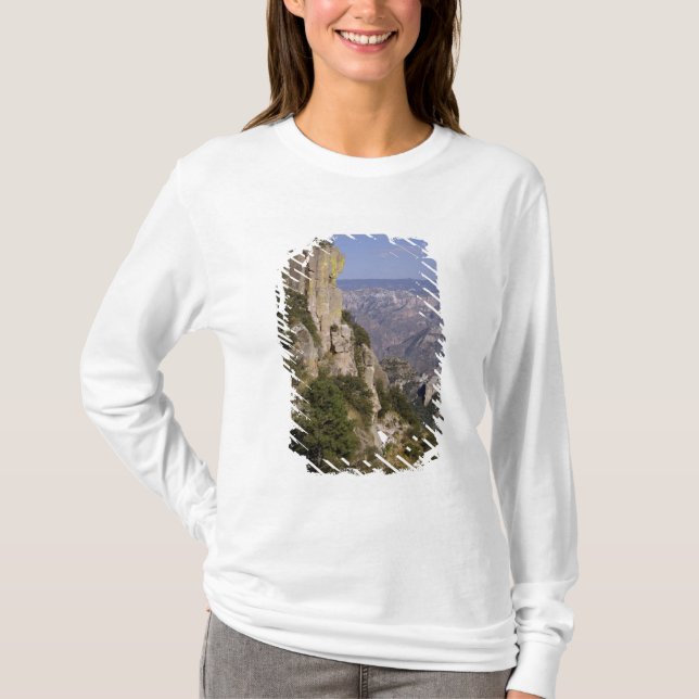 Mexiko, delstaten Chihuahua, koppar Canyon. DETTA  T-shirt (Framsida)