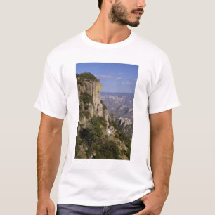 Mexiko, delstaten Chihuahua, Kopparkanjonen. DETTA T-shirt