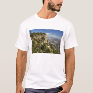 Mexiko, delstaten Chihuahua, Kopparkanjonen. DETTA T Shirt