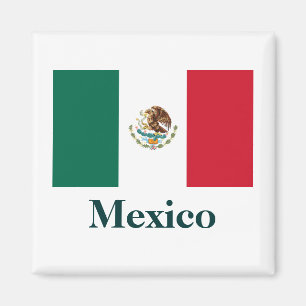 Mexiko Flagga Magnet