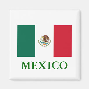Mexiko Flagga Magnet