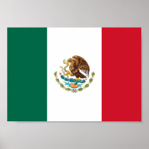 Mexiko Flagga Poster