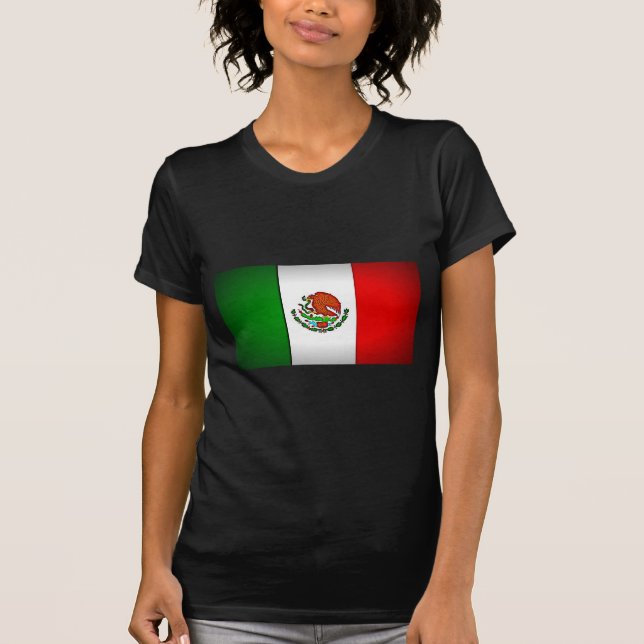 Mexiko Flagga Stylized Tröja (Framsida)