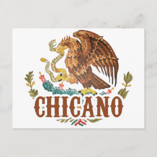 Mexiko Jackat av Arm Chicano Vykort