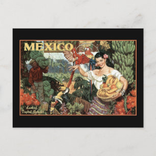 Mexiko land av tropisk splendor vykort