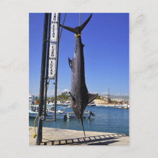 Mexiko Marlin Vykort