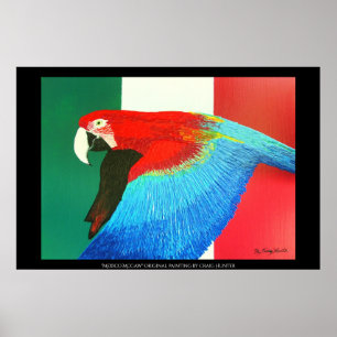 Mexiko McCaw Poster