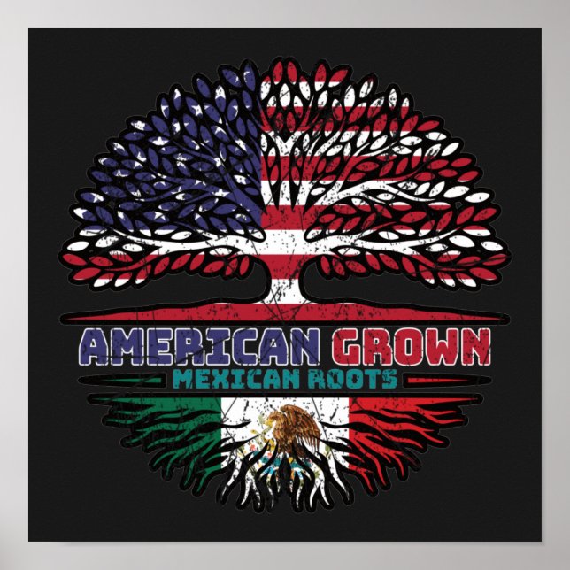Mexiko Mexikanska amerikanska USA Förenta staterna Poster (Framsidan)