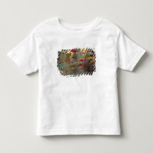 Mexiko, Oaxaca, Templo de San Felipe de Neri T-shirt