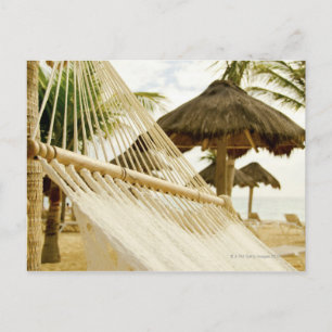 Mexiko, Playa Del Carmen, hammock på stranden Vykort