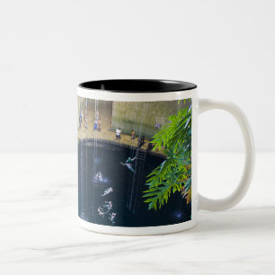 Mexiko, Quintana Roo, nära Chichen Itza, Två-Tonad Mugg