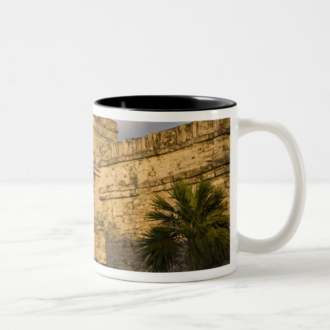 Mexiko, Quintana Roo, Yucatan-halvön, Två-Tonad Mugg (Höger)