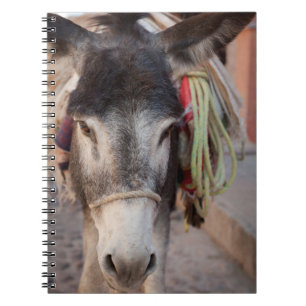 Mexiko, San Miguel De Allende 2 Anteckningsbok Med Spiral